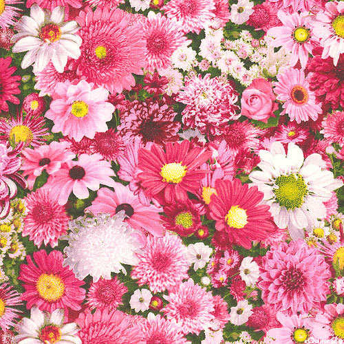 Garden Party - Floral - Berry Sorbet