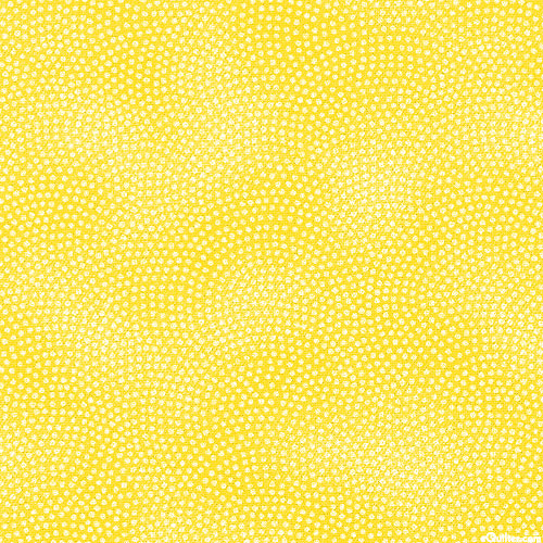 Concentric Dots - Banana Yellow