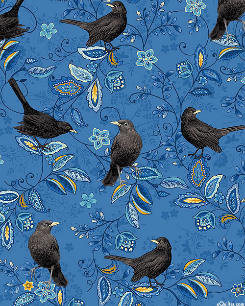 Blackbirds Calling - Attentive Perch - Steel Blue