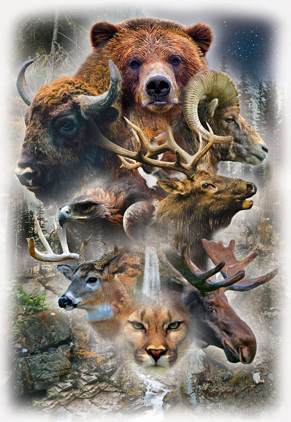 Call Of The Wild - Forest Beasts - 29" x 44" PANEL