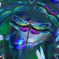 Dragonfly Dream - Iridescent Wings - Dk Green - DIGITAL PRINT