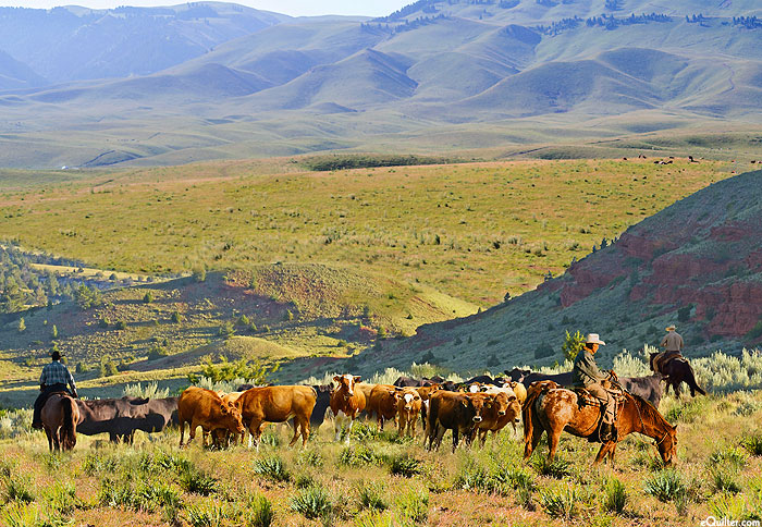 On the Range - Herding Cattle - 31" x 44" PANEL