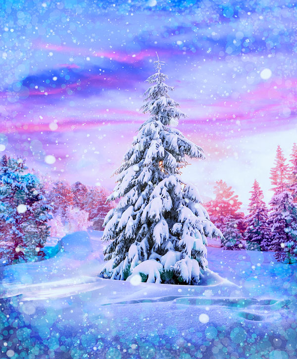 Winter Bliss - Snow-Topped Pine - Opal - 36" x 44" DIGITAL PANEL