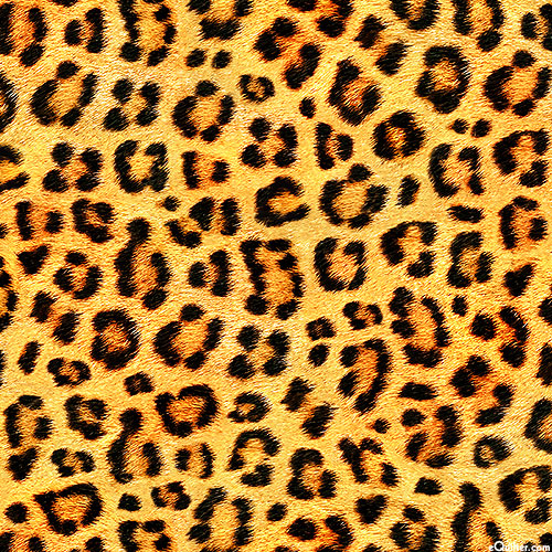 Animal Kingdom - Leopard Spots - Maize - LAWN
