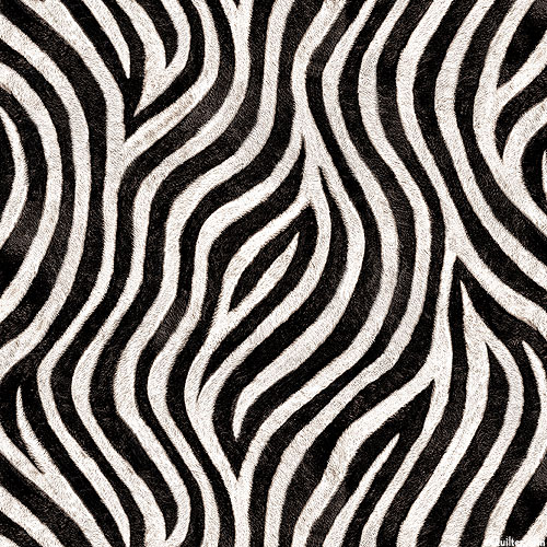 Animal Kingdom - Zebra Swirls - Black - COTTON LAWN