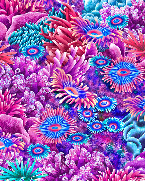 Coral Canyon - Urchin Blossoms - Magenta - DIGITAL PRINT