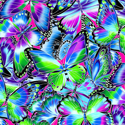 Nature Studies - Butterfly Radiance - Jewel - DIGITAL PRINT