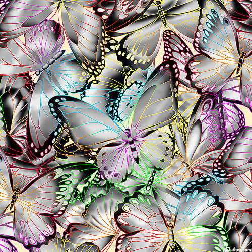 Nature Studies - Butterfly Radiance - Gray - DIGITAL PRINT