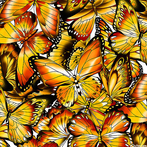 Nature Studies - Butterfly Radiance - Monarch - DIGITAL PRINT