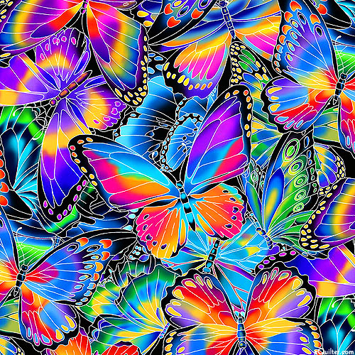 Nature Studies - Butterfly Radiance - Rainbow - DIGITAL PRINT