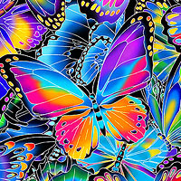 Nature Studies Butterflies