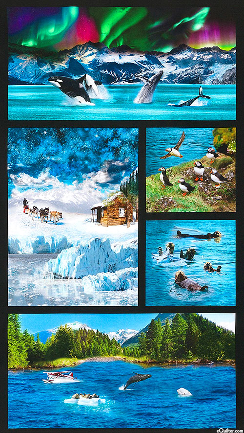 Nature's Wonder - Arctic Wonders - Black - 24" x 44" PANEL