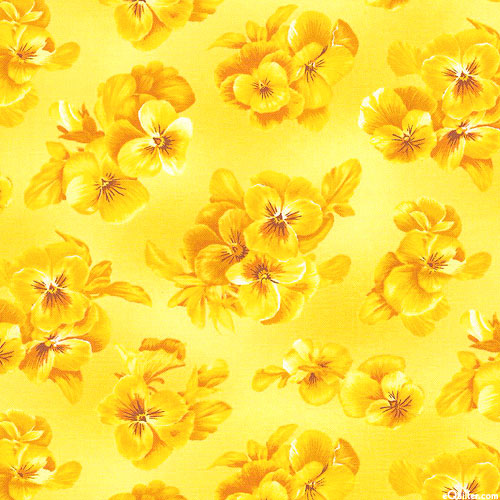 Brightly So - Pansies - Dandelion Yellow