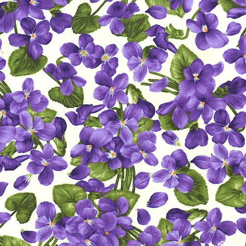 Viola - Tossed Violets - Cream