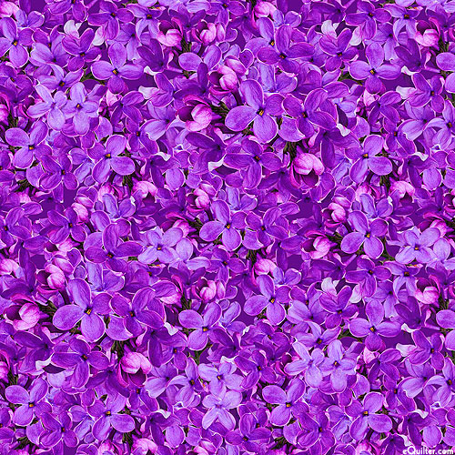 Canary Garden Party - Lilac Bloom - Royal Purple - DIGITAL