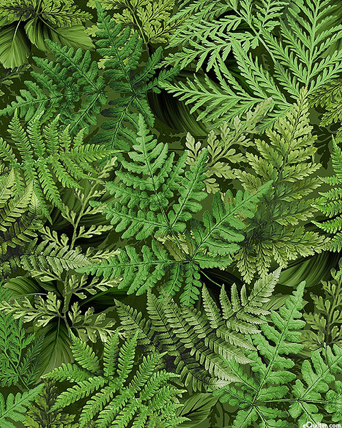Floral Fantasy - Frolicking Through the Ferns - Evergreen