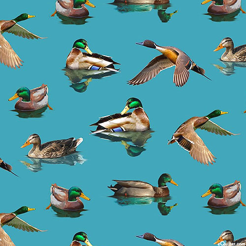 Welcome To Our Lake - Ducks - Turquoise - DIGITAL