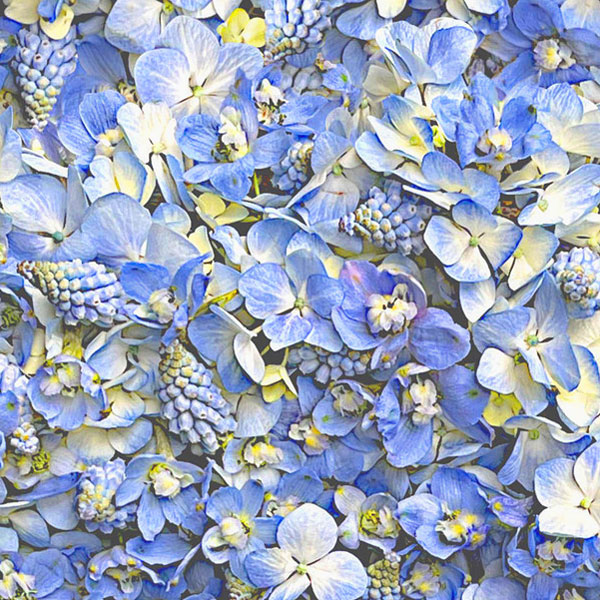 Hand Picked - Fragrant Florals - French Blue - DIGITAL