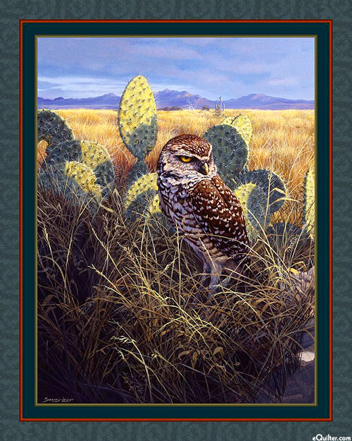 Burrowing Owl - 36" x 44" PANEL - DIGITAL PRINT