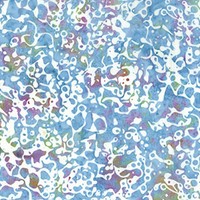 NCBCTOLB