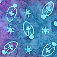 NCBWNAIR