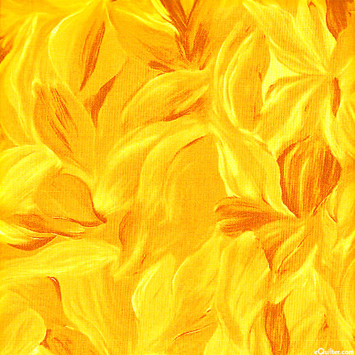 City Flower Exchange - Petals - Sun Gold