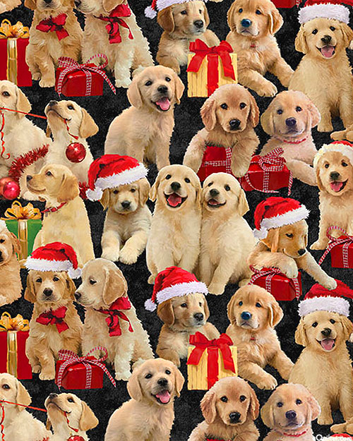 Golden Christmas - Holiday Puppies - Black