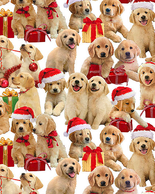 Golden Christmas - Holiday Puppies - White