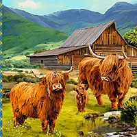 Highland Home - Happy Herd