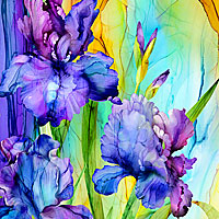 Irises - Northcott