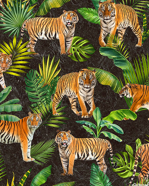 Jungle Queen - Tiger Habitat - Charcoal Gray - DIGITAL