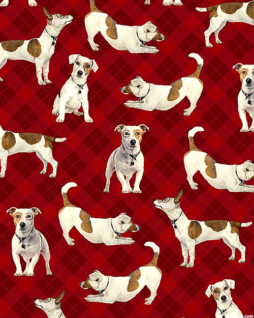 For The Love of Pete - Puppy Plaids - Lacquer Red