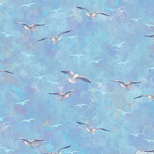 Safe Harbor - Seagull Meet Up - Sky Blue