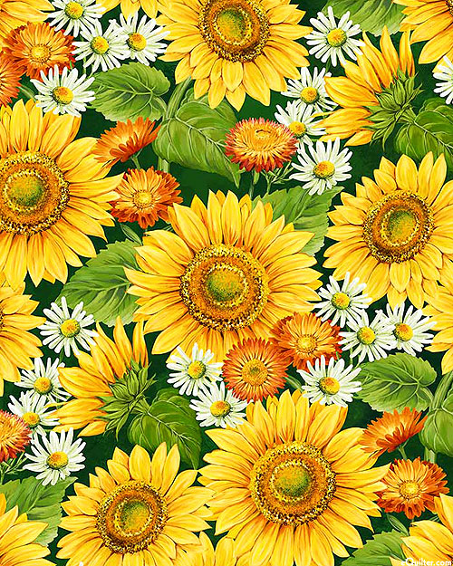 Sunshine Harvest - Sunflower Garden - Sunflower Yellow