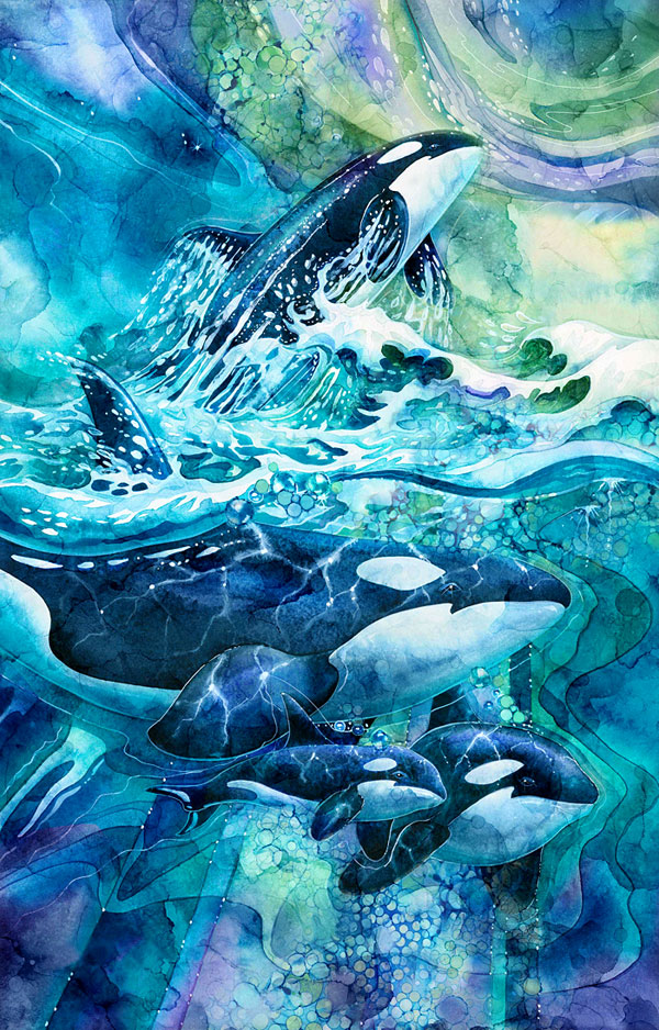 Whale Song - Orca's Journey - Turquoise - 28" x 44" PANEL