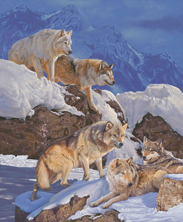 Winter Gathering - Wolven Naturescape - 36" x 44" PANEL