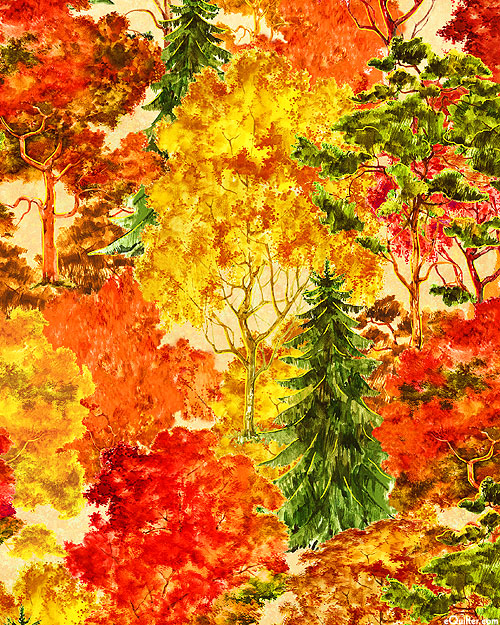 Fall Classic - Autumn Forest - Auburn - DIGITAL
