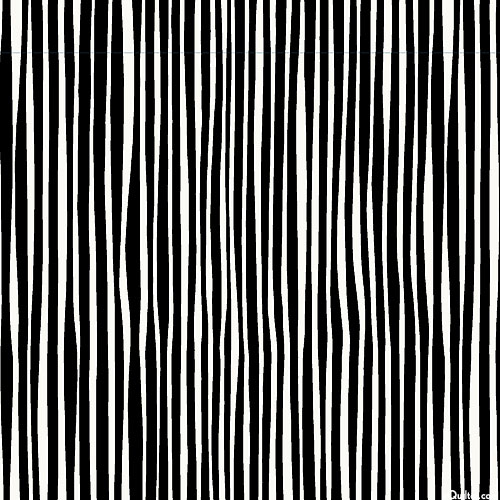 Zooming Chickens - Cooky Stripe - Black & White
