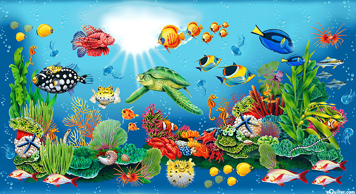 Coral Reef - Water Life - Multi - 24" x 44" PANEL