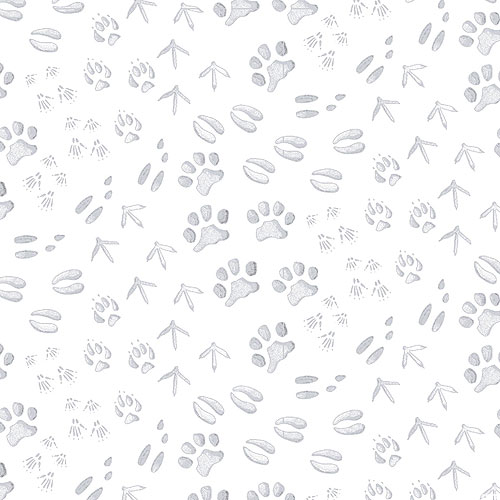 Winter White - Forest Paws - Soft White