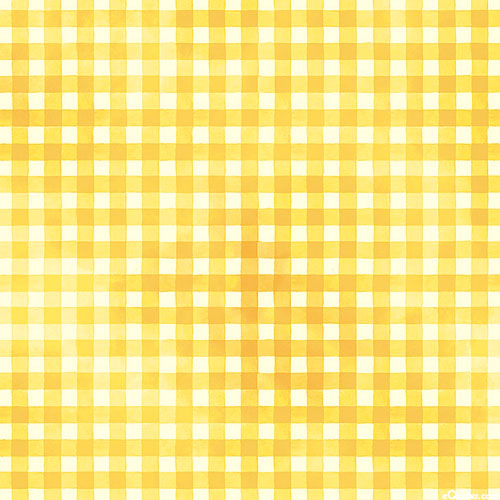 Sunflower Field - Checkers - Sun Gold
