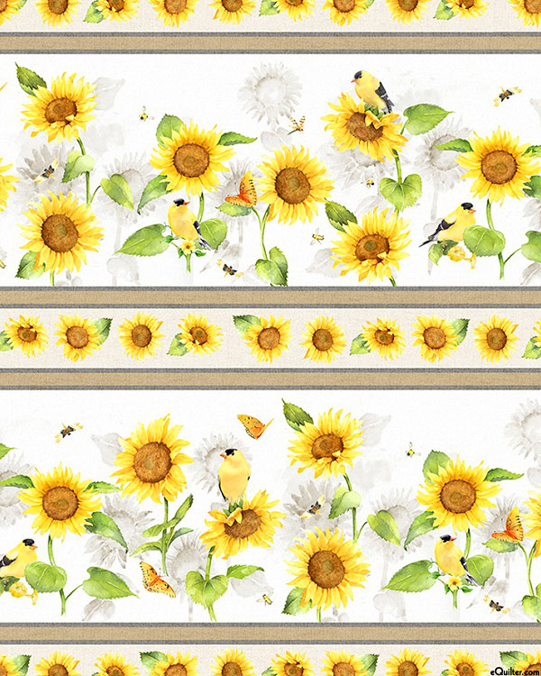 Sunflower Field - Sunflower Stripes - White