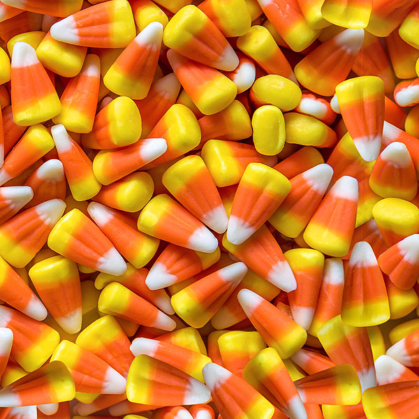 Halloween - Candy Corn - Pumpkin Orange - DIGITAL PRINT