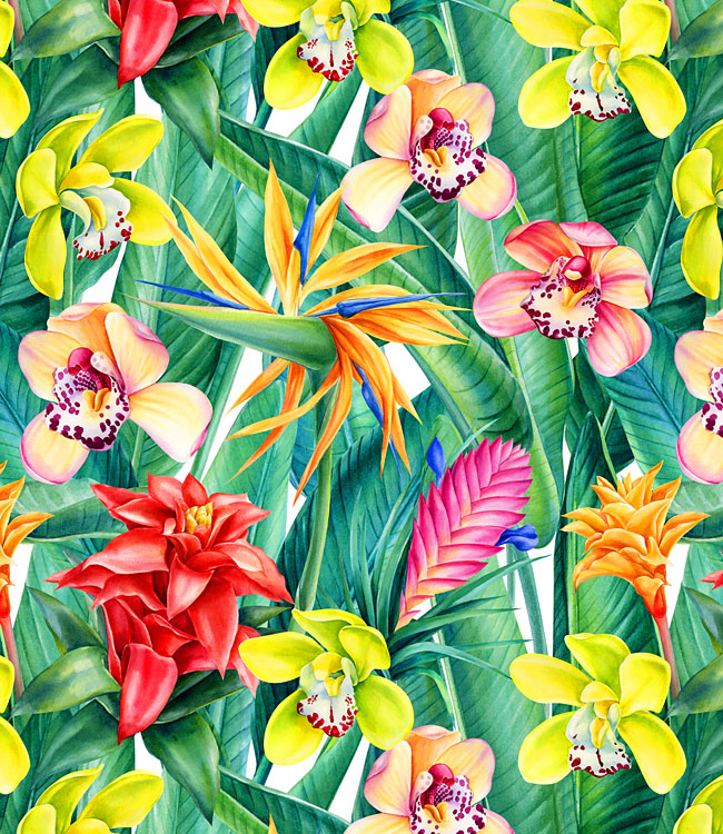 Tropical Flowers and Orchids - White - DIGITAL PRINT