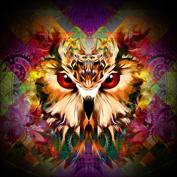 Wise Owl's Gaze - Multi - 43" x 44" PANEL