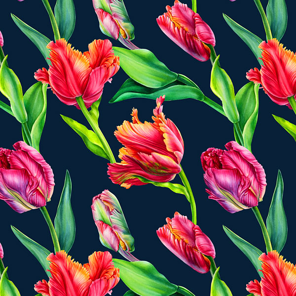 Watercolor Tulips - Dark Navy - DIGITAL