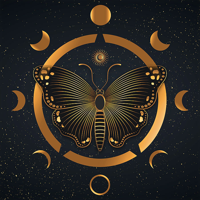 Mystical Moon Phases - Moonlight Moth - Black - 46" x 44" PANEL