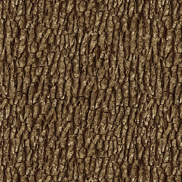 Tree Bark - Old Oak - Earth Brown - DIGITAL PRINT