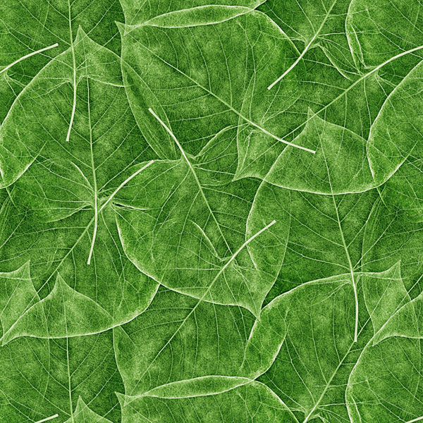 Delicate Leaf Texture - Palm Green - DIGITAL