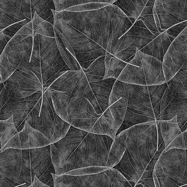 Delicate Leaf Texture - Thunderstorm Gray - DIGITAL
